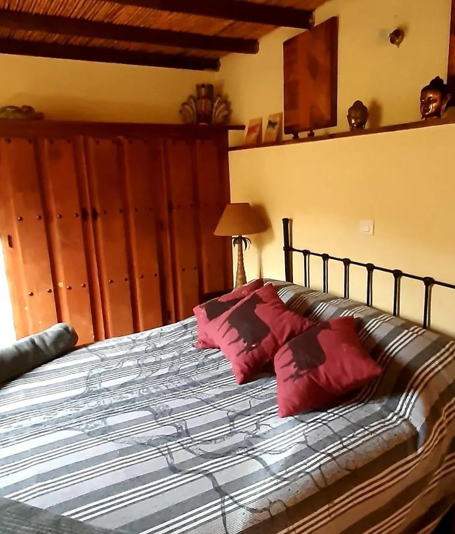 Adobe Getaway With 'Private Plunge Pool' Villa Vinuela