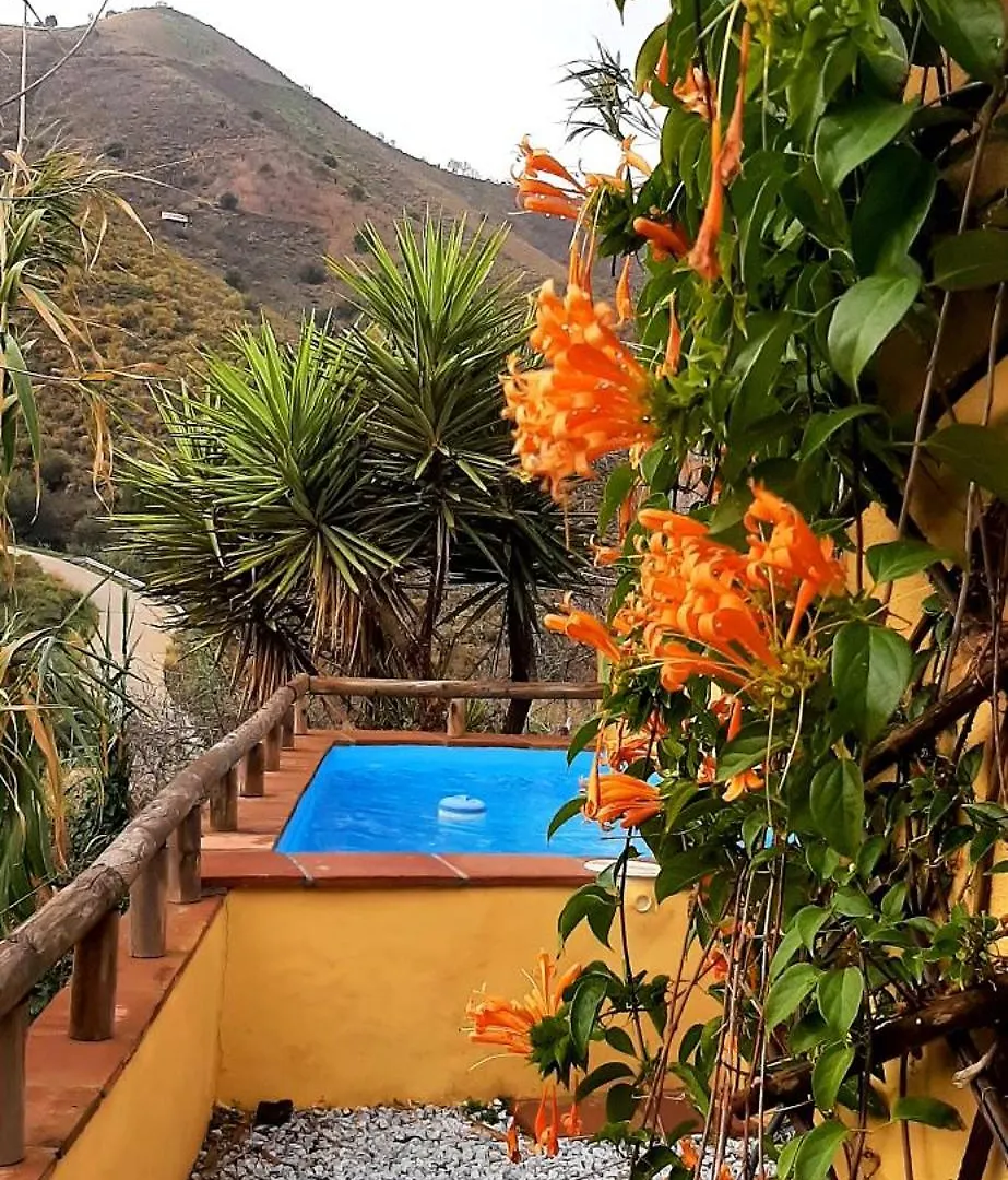 Adobe Getaway With 'Private Plunge Pool' Villa Vinuela